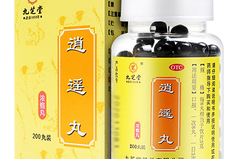 人力资源专员的工作总结（优秀17篇）